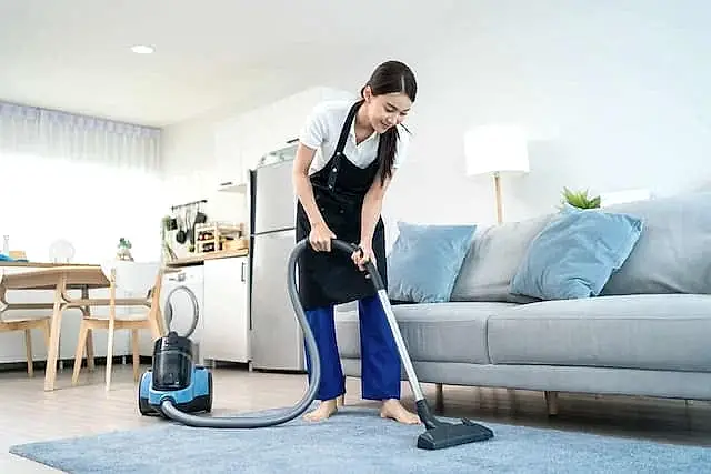 Gebze Temizlik Firması